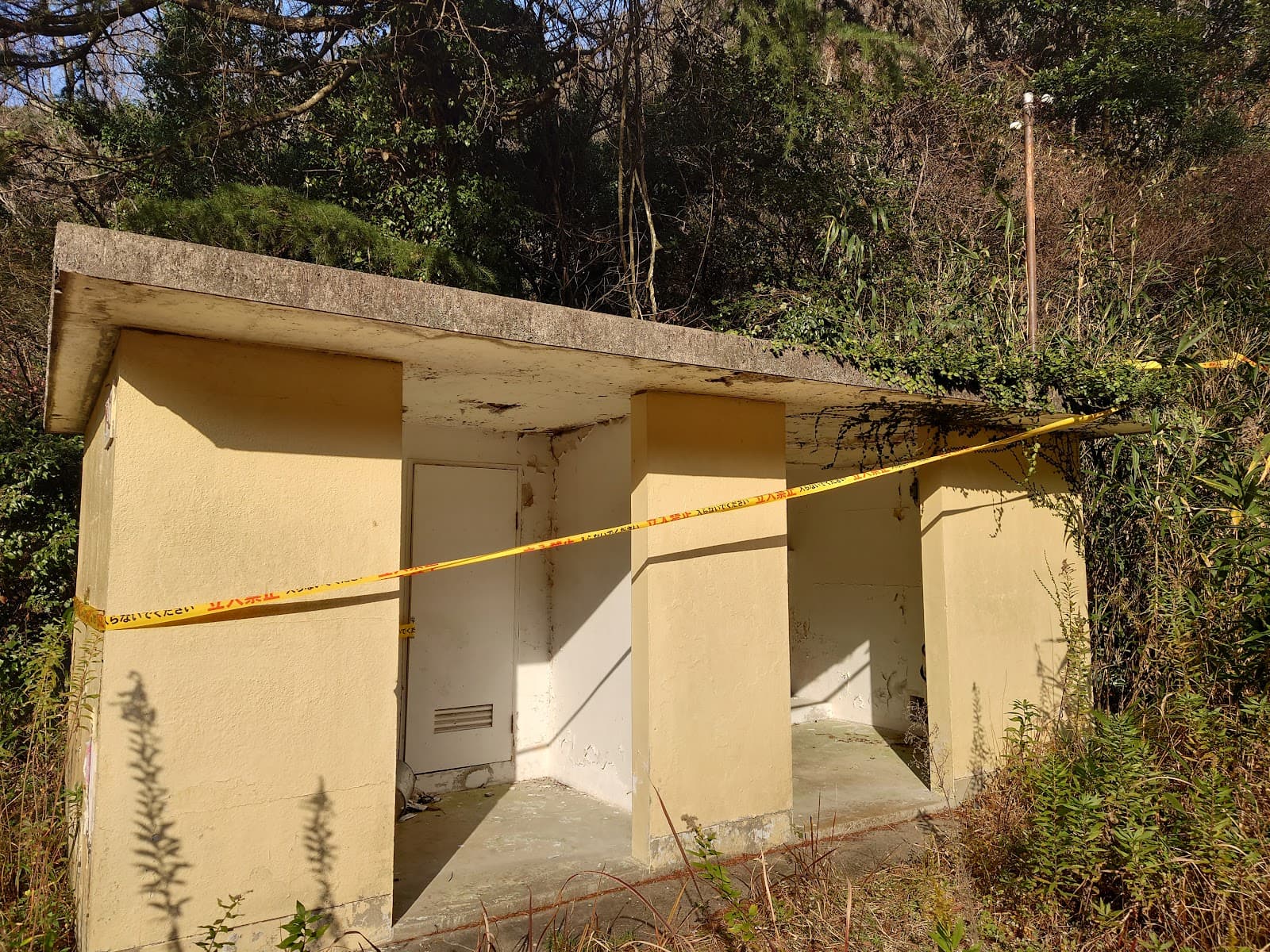 ロマンスヶ丘夏吉林道キャンプ場