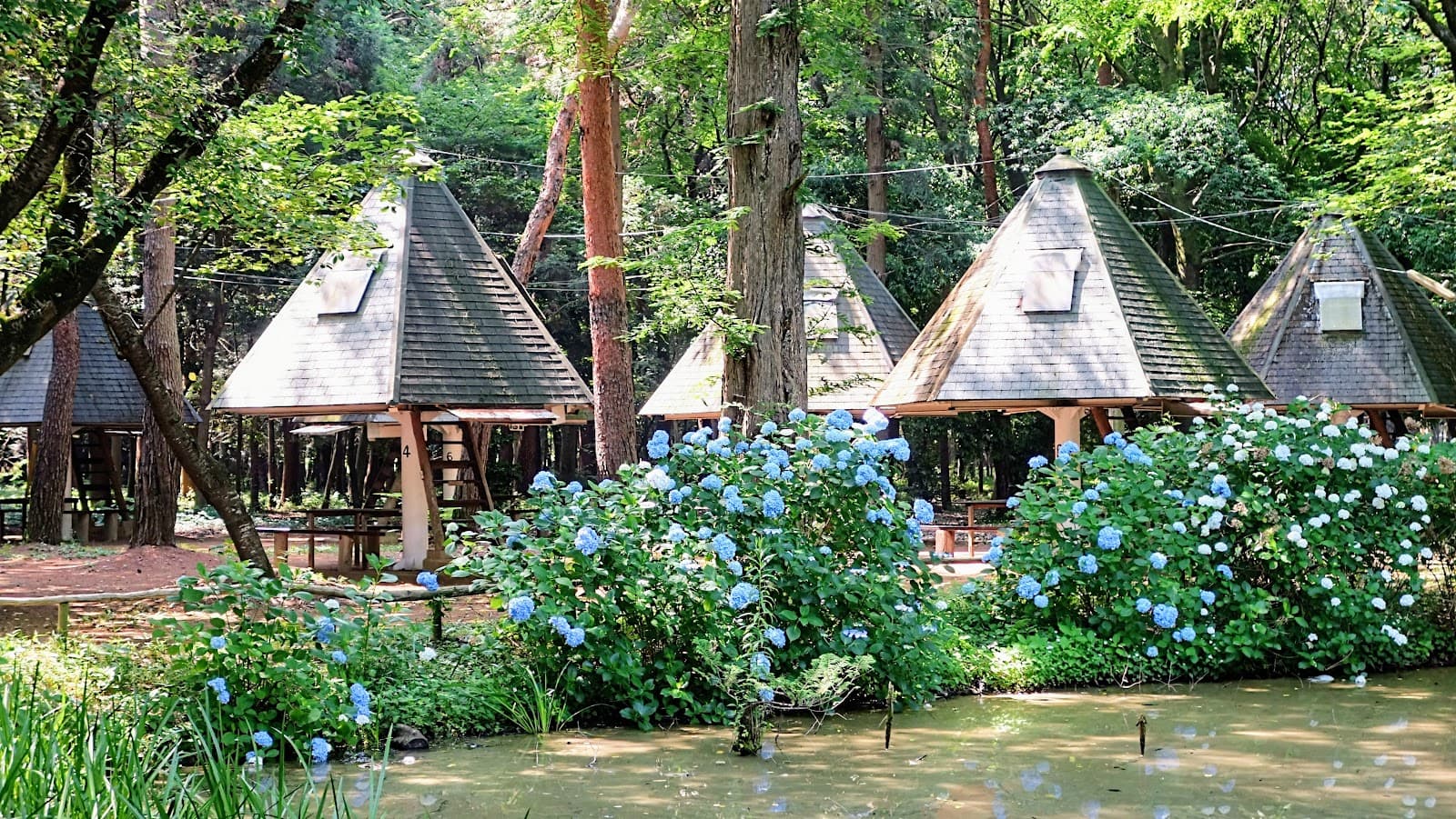 豊里ゆかりの森 キャンプ場