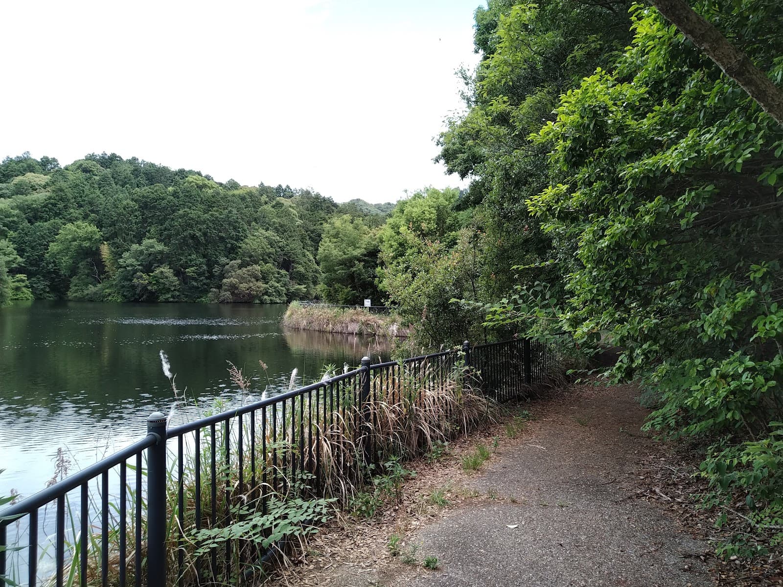 野外活動ふれあい広場