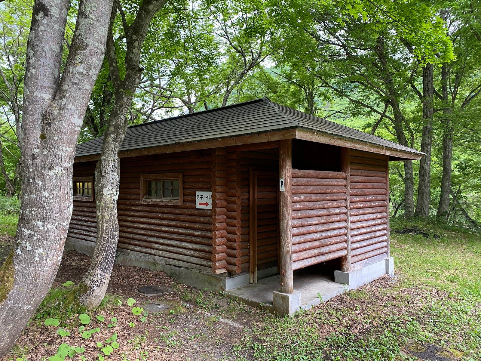 しらかば公園キャンプ場