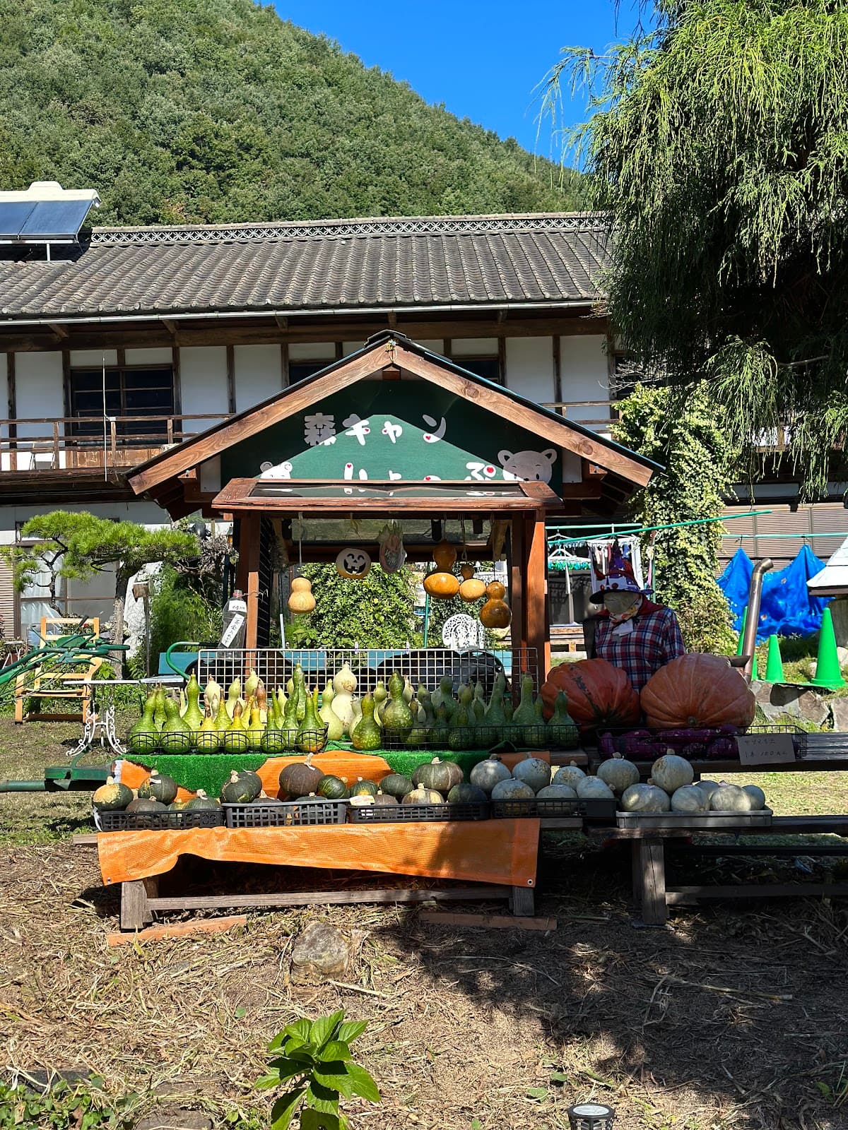 体験の森花咲森のキャンプ場