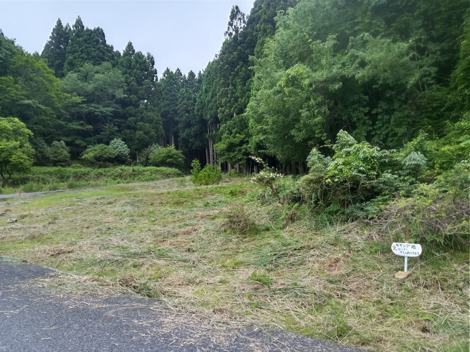 上山太郎キャンプ地