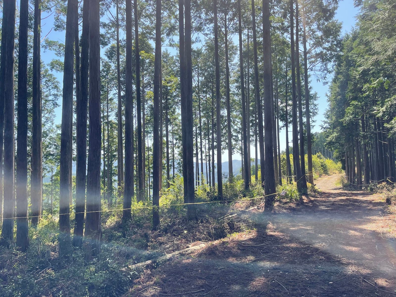 forenta龍神キャンプエリア