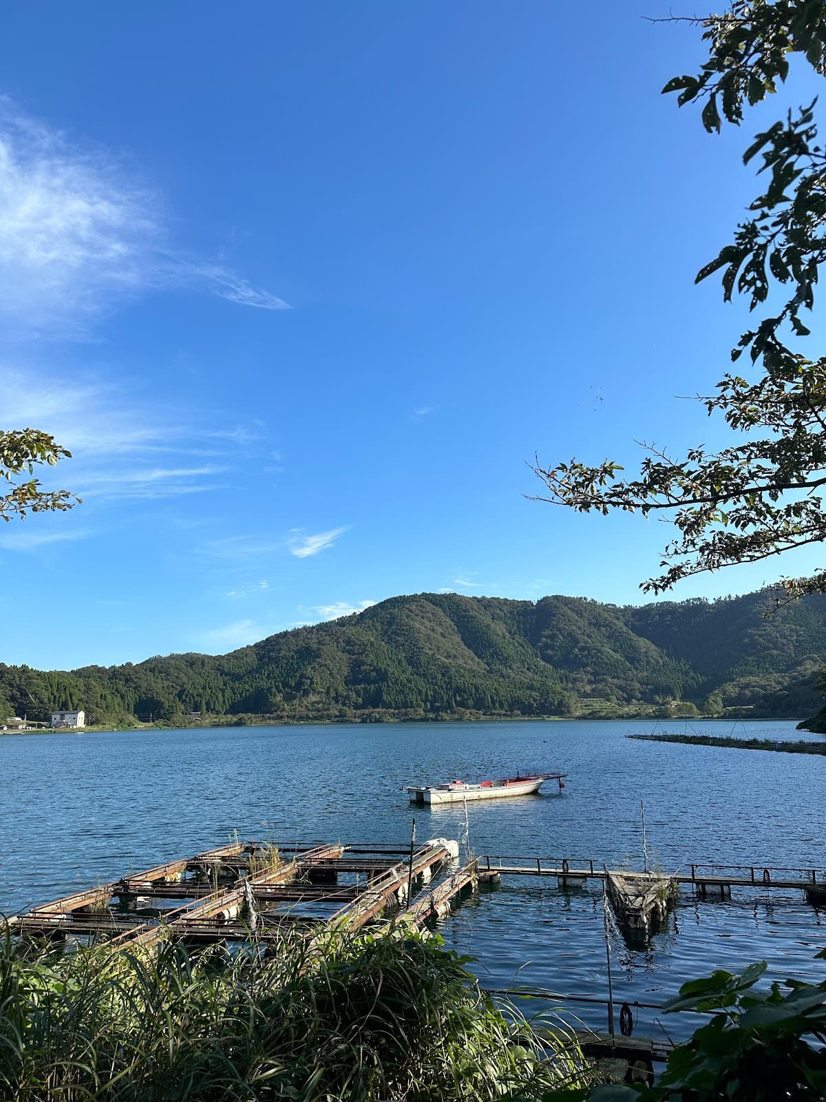 アミレンタルボート