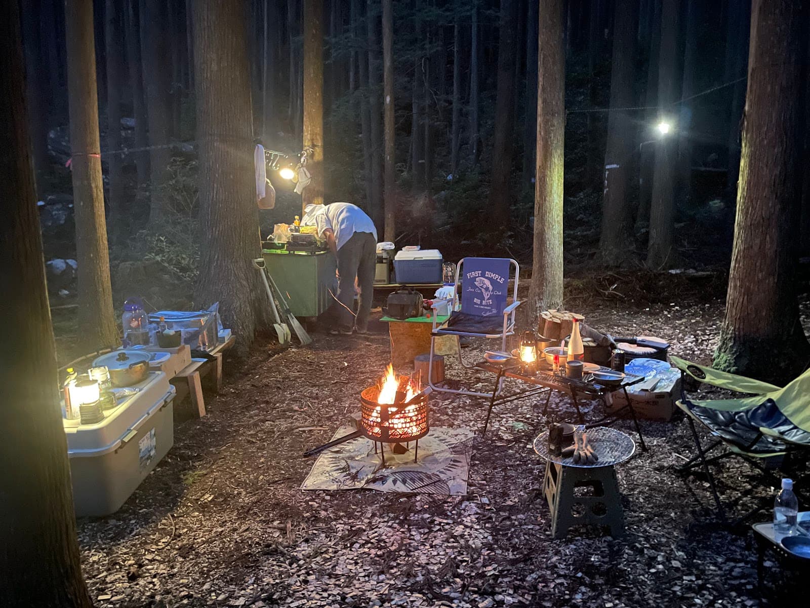 forenta 大台エリア