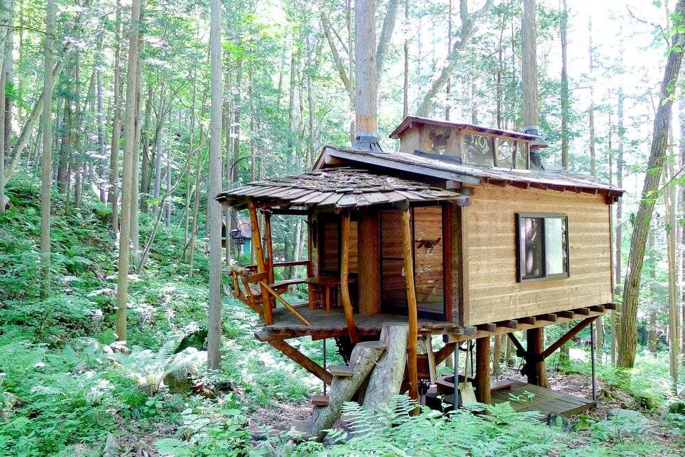 千年の森自然学校