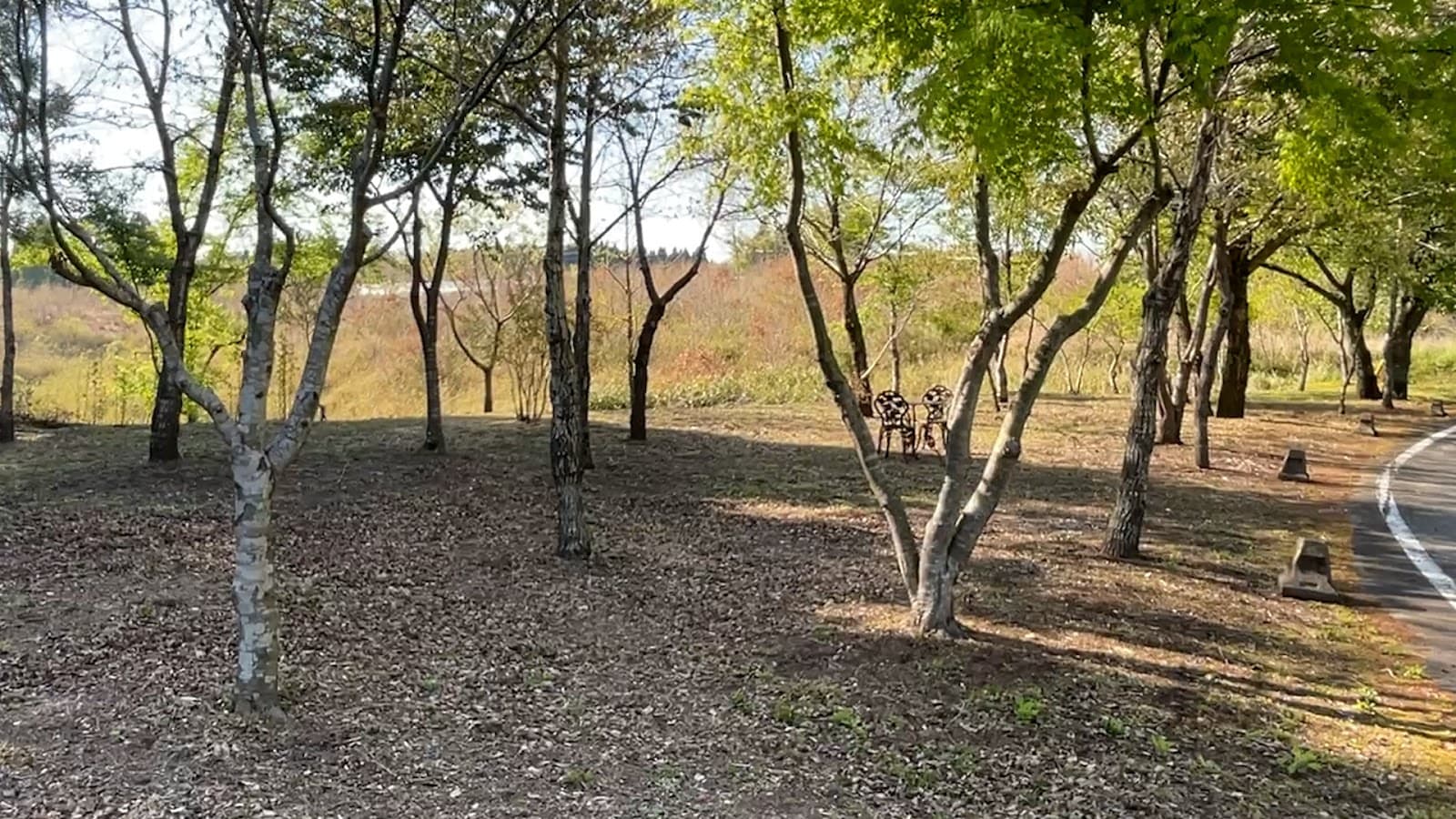 ロンドガーデン キャンプ場