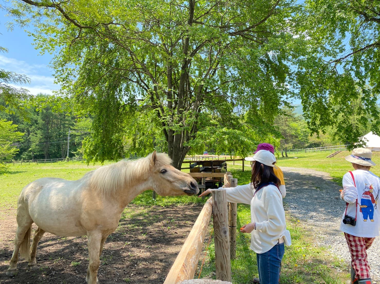 アファンの森財団 ホースロッジ