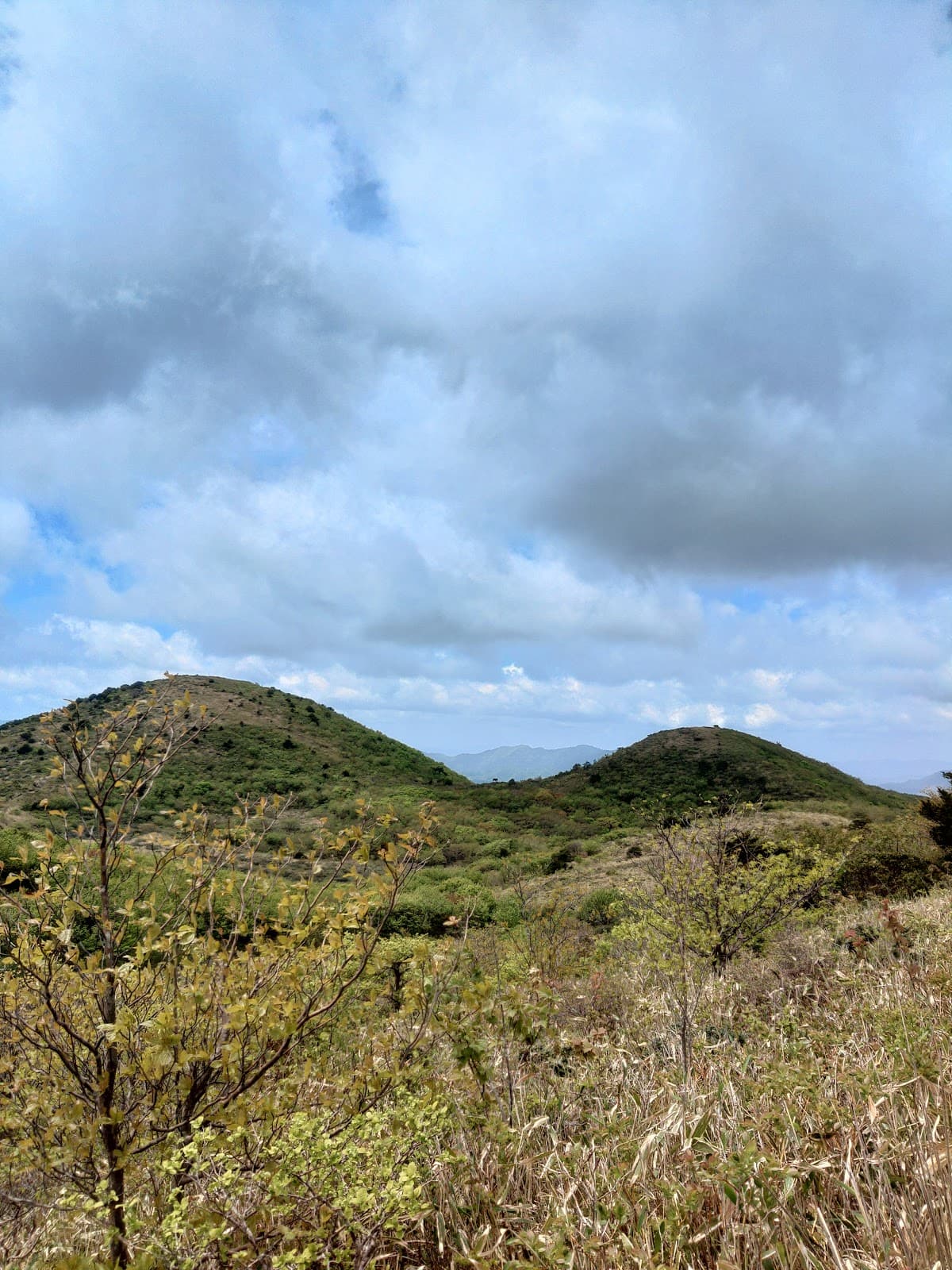 道後山キャンプ場
