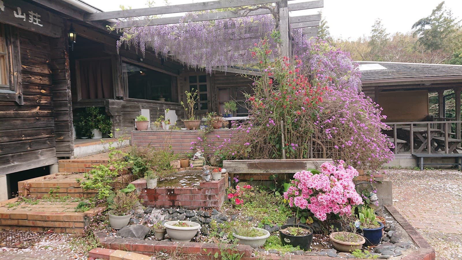 山荘キャンプ場