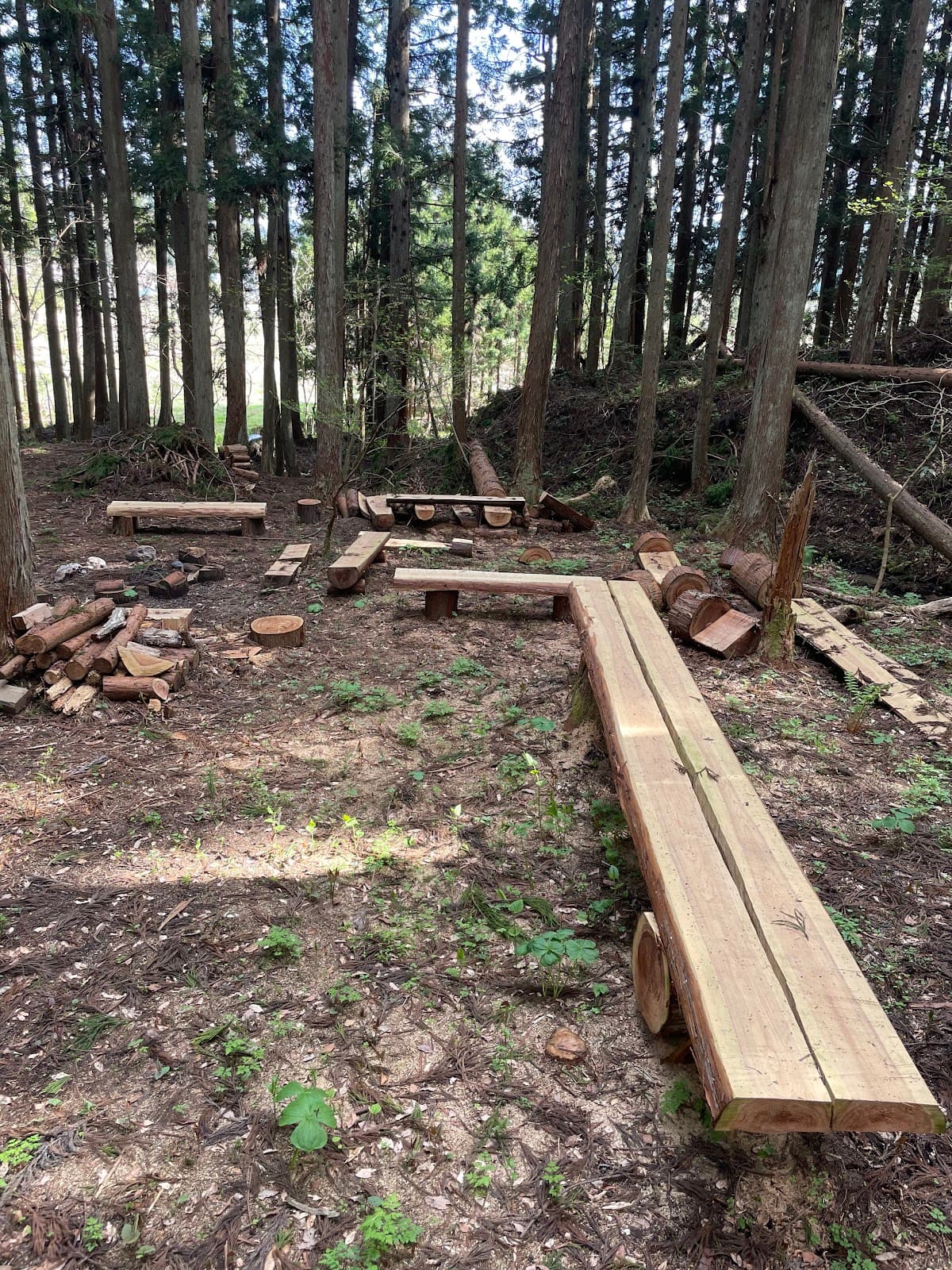 冒険キャンプ城ハムラ