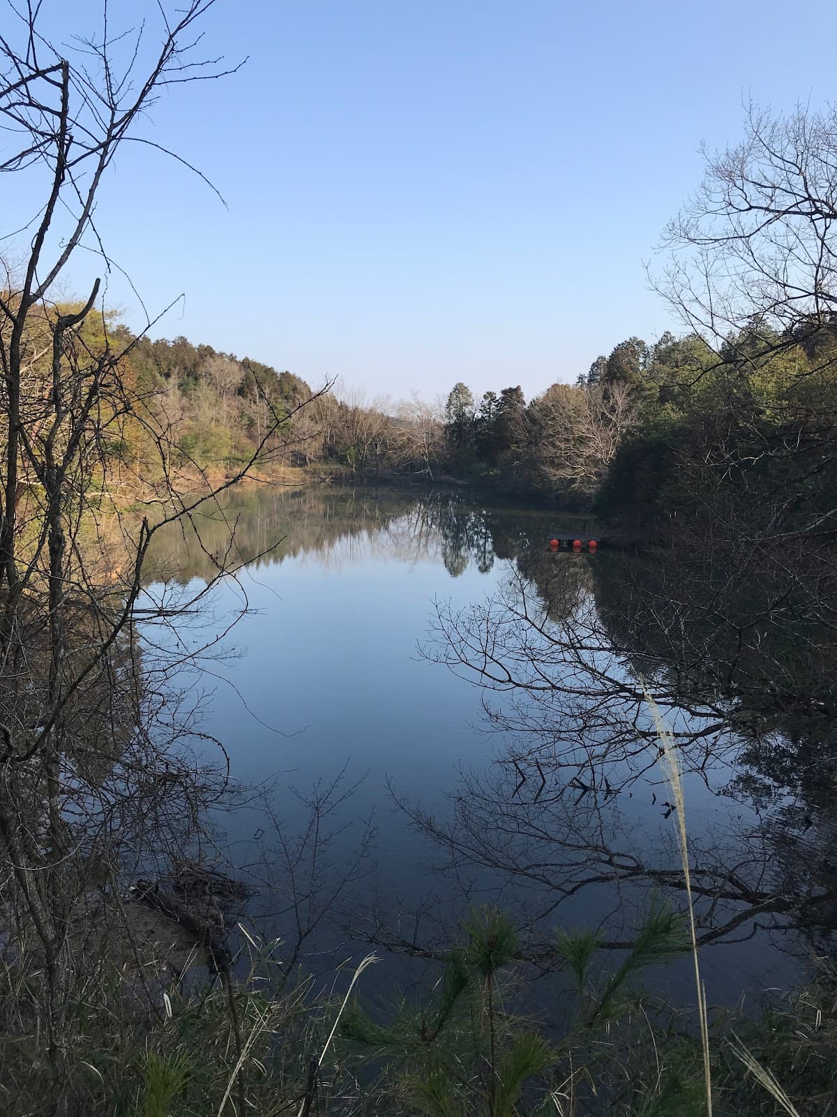 滋賀YMCA 風の谷キャンプ場