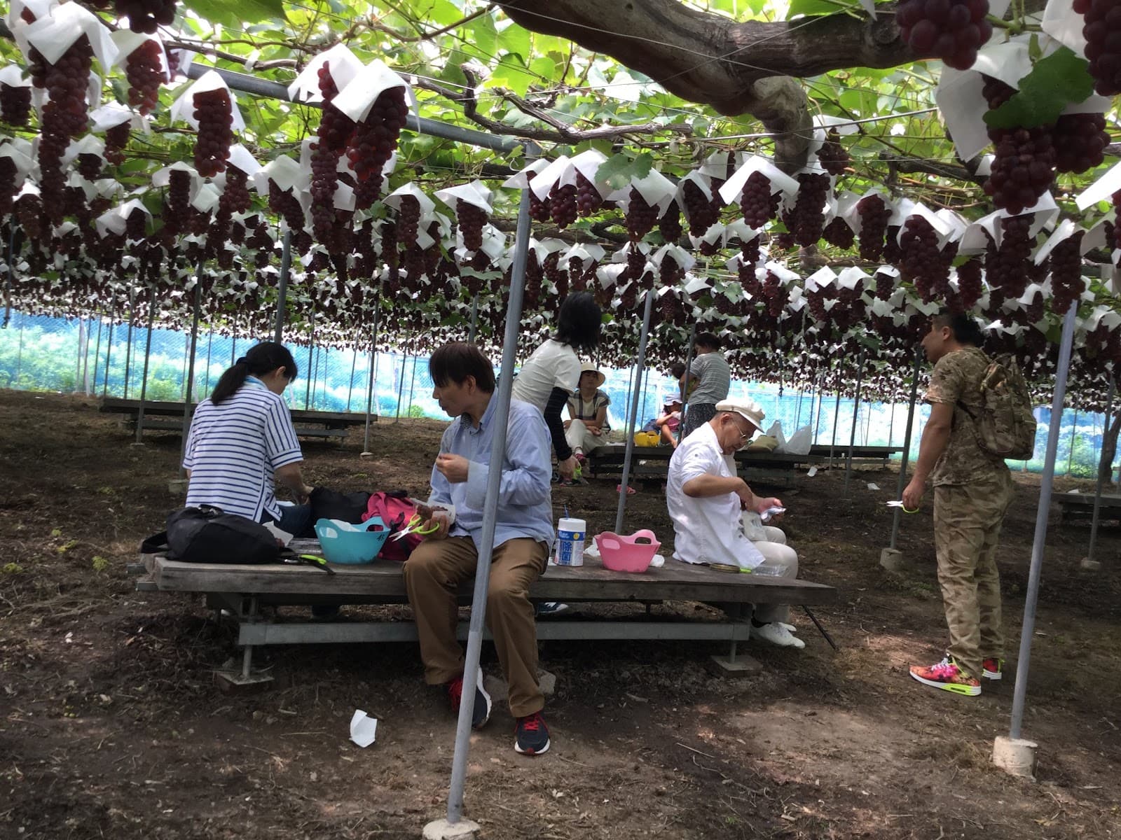 農業公園信貴山のどか村 デイキャンプ用車両入園ゲート