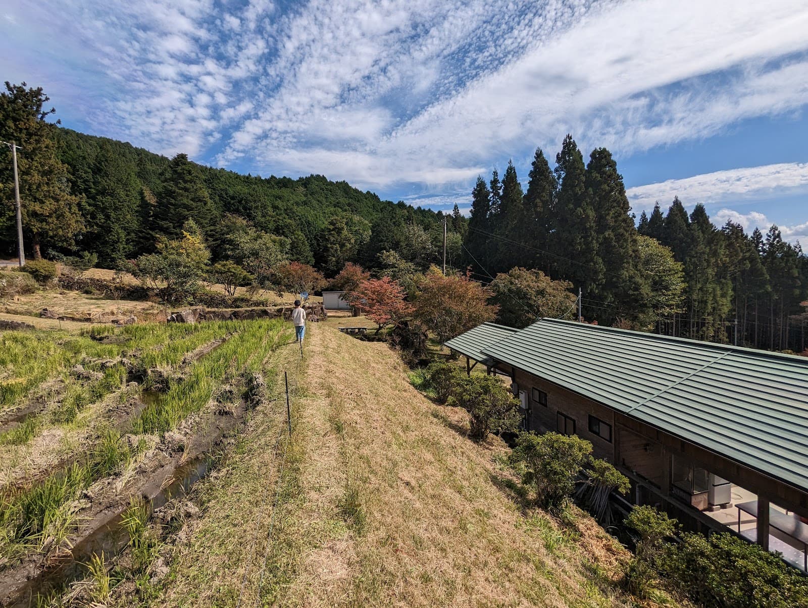 大博士キャンプ場