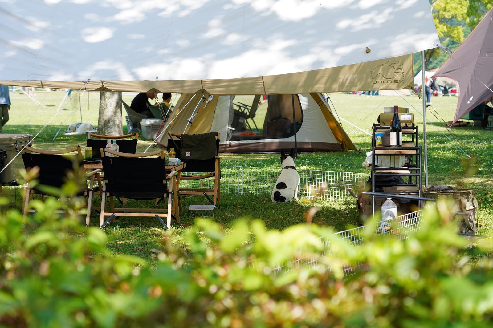 竜門ダム ドラゴンキャンプ場