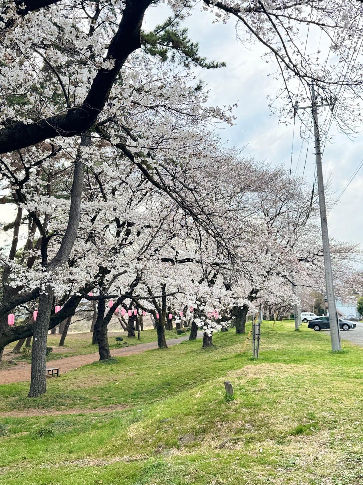 上大島キャンプ場 第三駐車場
