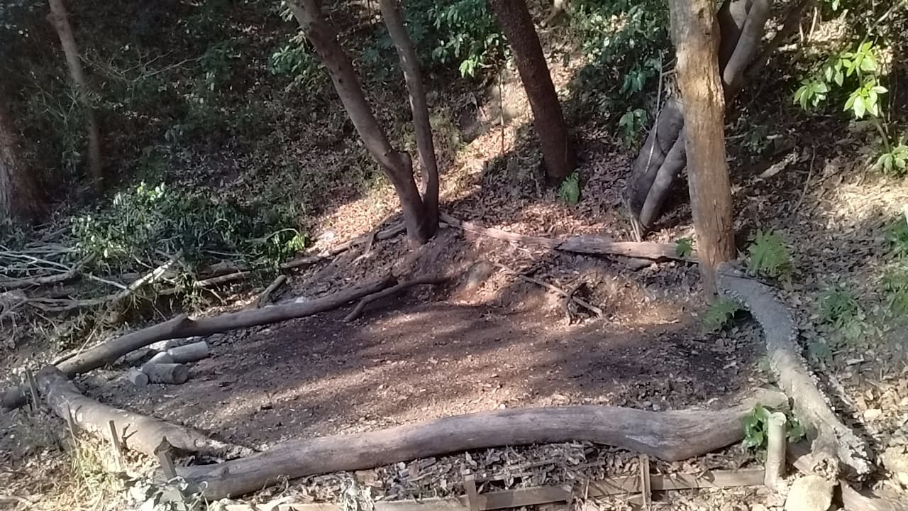 こんちゃんワールド